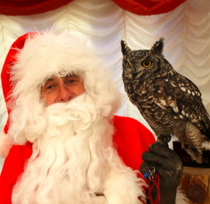 Santa and his Little Helper